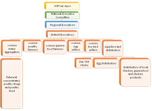 WIPVaC Apex Organizational Structure