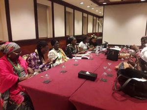 African Women in Animal Farming Network meeting in Cairo 1 300x225